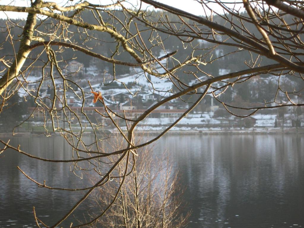 Hotel Restaurant De La Poste A Gerardmer Room photo